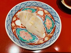 象拔蚌-橼舍鮨青木