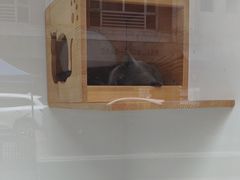-BABYDOG宝贝狗宠物乐园(欧洲城店)