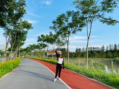 -上海长兴岛郊野公园