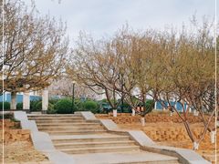 -永定河休闲森林公园