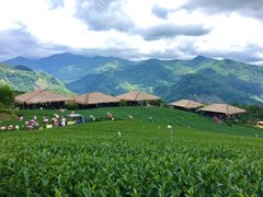 -优游吧斯邹族文化部落