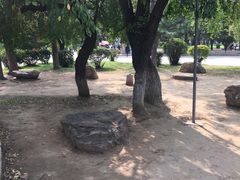 -二一九公园