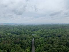 -灵谷景区