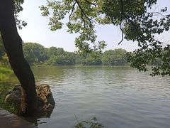 -紫霞湖公园