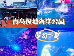 -海合安青岛极地海洋公园