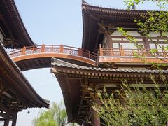 -西安青龙寺遗址景区