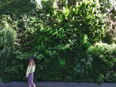 -旧金山现代艺术博物馆