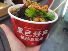 -黑色经典臭豆腐·湖南特产(坡子街店)