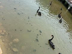 -无锡动物园·太湖欢乐园
