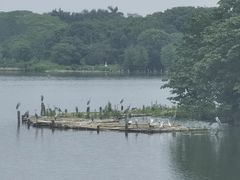 -海珠湖公园