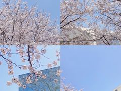-龙美术馆(西岸馆)