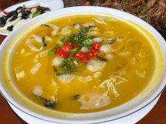 -杨正宗烤全羊(北二环店)