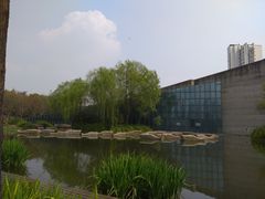 -圩墩遗址公园