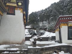 -达仓郎木寺院
