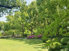 -申粤轩酒楼·三十年粤菜经典(丁香花园店)