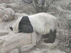 -青藏高原野生动物园