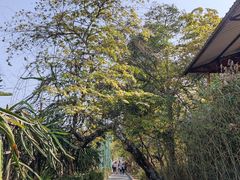-一寨两国风景区