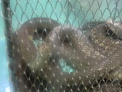 -渔民新村(番禺总店)