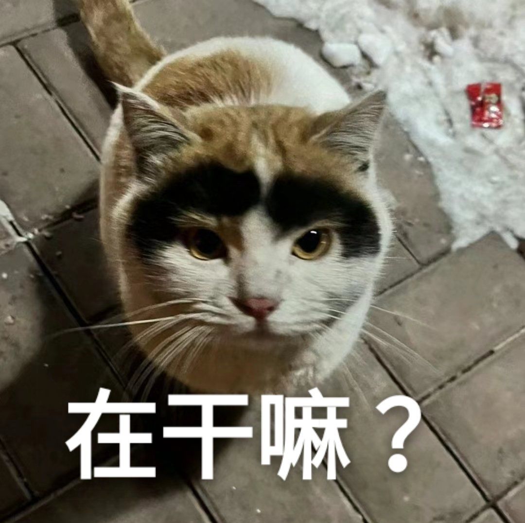 在干嘛?