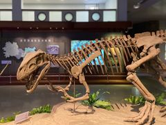 -自贡恐龙博物馆