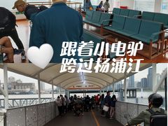 -丹东路渡口(轮渡站)