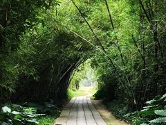 -开平碉楼文化旅游区马降龙景区