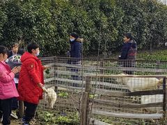-小鱼草莓采摘园农家乐·小鱼餐厅