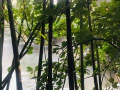 -西安国际创新人才交流中心•药浴温泉