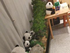 -将军府·鸡毛店(武侯祠店)