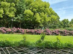 -潮府馆·非遗潮州菜·港式点心(世纪公园店)