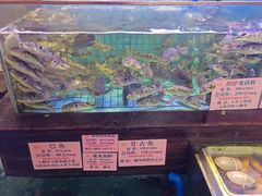 -荔城生鲜盛宴(番禺旗舰店)