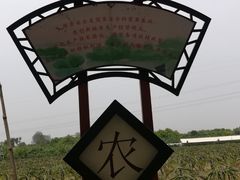 -润记农家菜