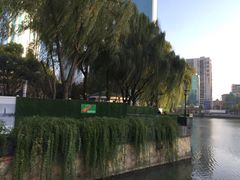 -西北湖绿化广场