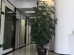 -微笑牙科口腔(三亚迎宾院区)
