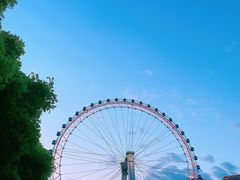 -海河游船-永乐码头(大悲院)