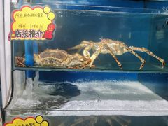 水产区-蚝专家(北滘店)