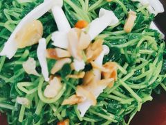 松茸菌豆苗-丰收日·小海鲜·沪上家宴(顾村正大店)