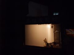 -乌镇东栅景区-应家桥皮影戏馆