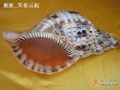 -亚龙湾中心广场·贝壳馆