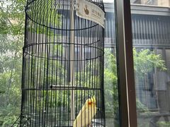 -上海崇明金茂凯悦酒店