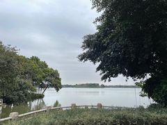 -海珠湖公园