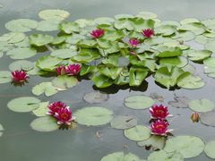 -国家植物园南园