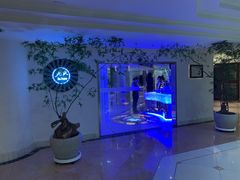 -九献创意菜·牛排馆(亮马河花园店)