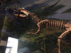 -自贡恐龙博物馆