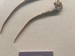 -兴隆文化园景区-兖州博物馆