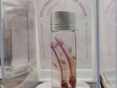 -朵云书院·广富林店
