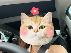 -TESLA 特斯拉(广州天环广场体验店)