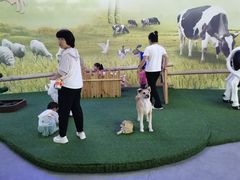 -中国农业博物馆