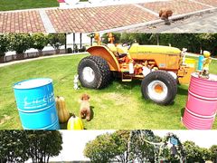 -太阳岛度假酒店