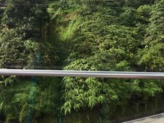 -云顶高原